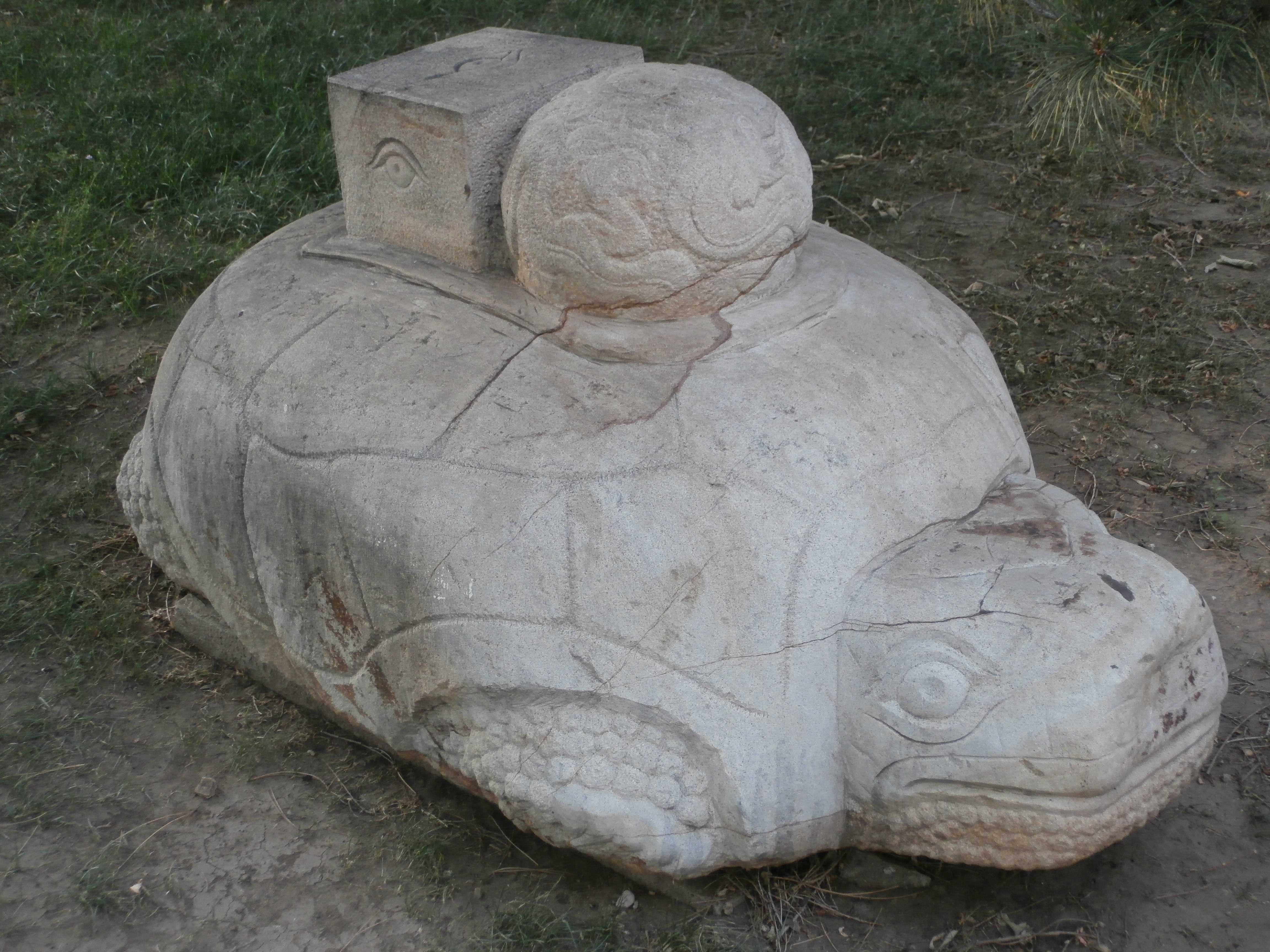 Два мира. Черепаха